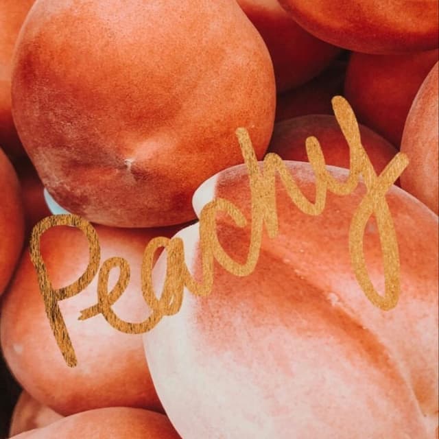 The Peachy Quarterly 🍑 at peachyglowskinco in Denton, TX